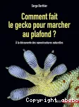 Comment fait le gecko pour marcher au plafond ?