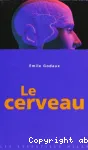 Le cerveau