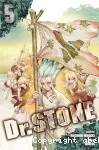 Dr Stone