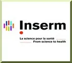 Fécondation in vitro : vers un meilleur pronostic des chances de grossesse ?