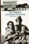 Les tsiganes. Une destinée européenne